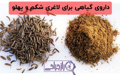 داروی گیاهی برای لاغری شکم و پهلو